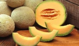 吃哈密瓜的搞笑瞬间视频,一场欢乐的视觉盛宴