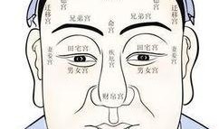 吃瓜的面相图解视频教程,揭秘吃瓜群众的神秘面相特征