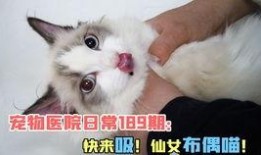 吃瓜视频自娱自乐,轻松自娱自乐，畅享欢乐时光