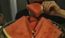 助农吃瓜视频大全,视频大全带你领略田园风光