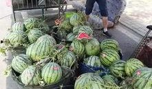 滕州中央城吃瓜事件视频,一场引发热议的社区冲突视频揭秘