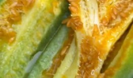 吃甜面瓜的视频,一窥甜面瓜美味瞬间